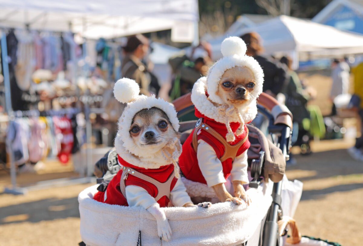 🌳 아키가세 공원 이미지 10